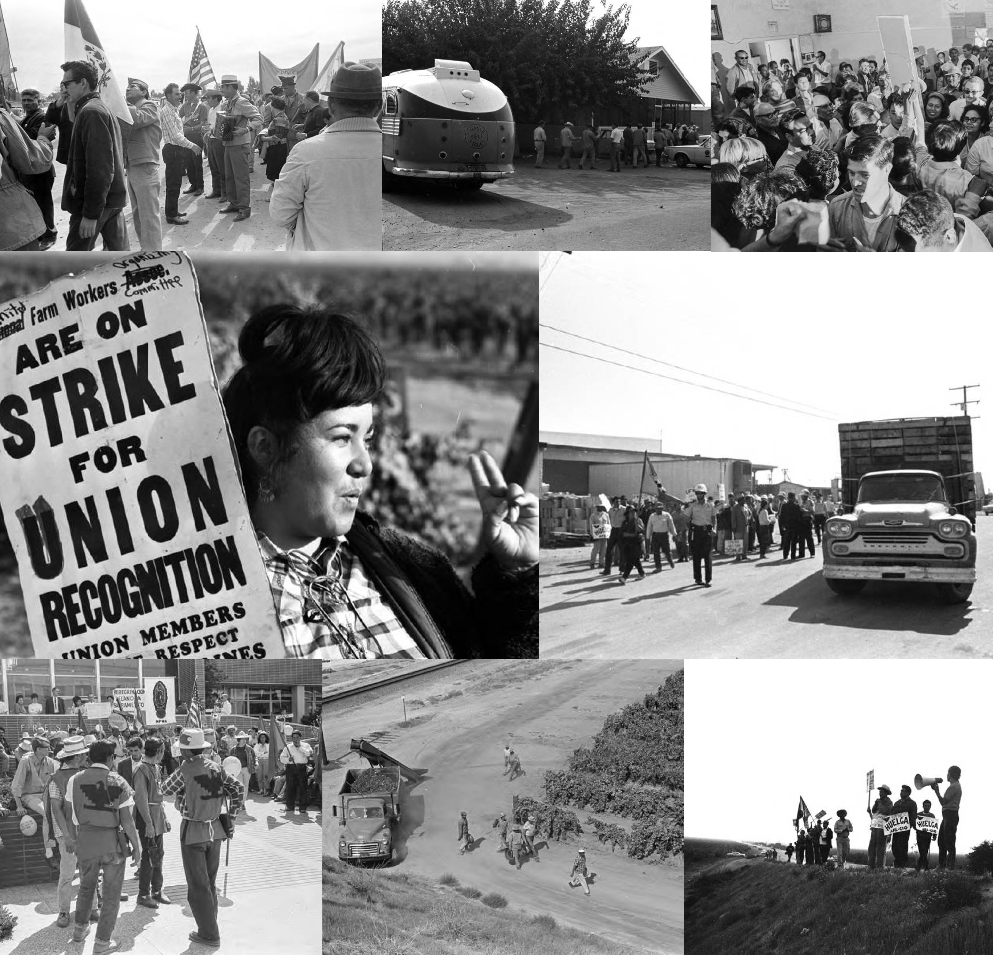 Collage of farmworkers movement photos