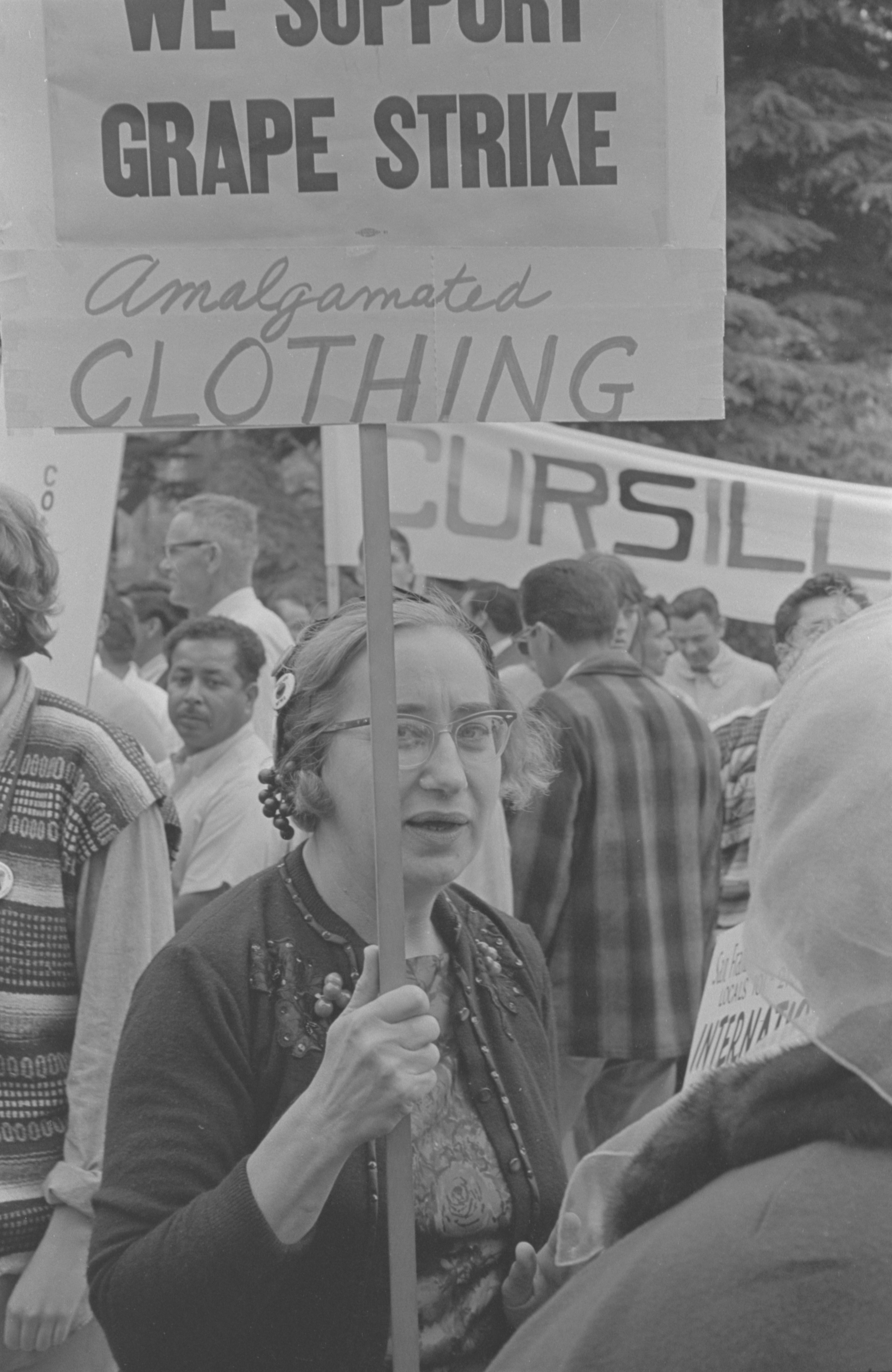 Anne Draper amongst supporters at a rally at the capitol during the march to Sacramento in Sacramento, California on April 10, 1966. She is holding a sign that reads "We support grape strike - Amalgamated Clothing." Anne Draper entre los partidarios en un mitin en el capitolio durante la marcha a Sacramento en Sacramento, California, el 10 de abril de 1966. Ella sostiene un cartel que dice "Apoyamos la huelga de uvas - Ropa amalgamada".