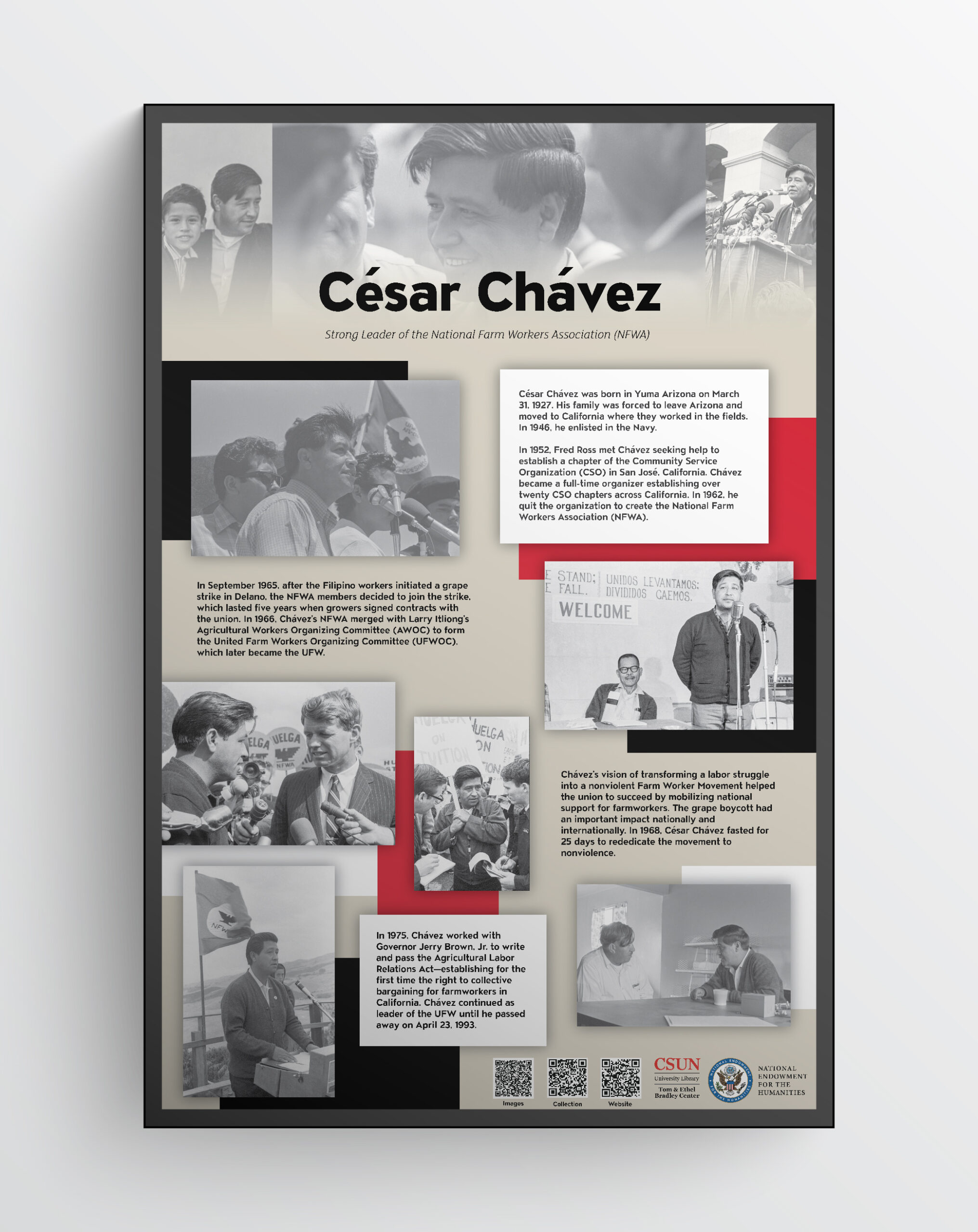 Panel of César Chávez.