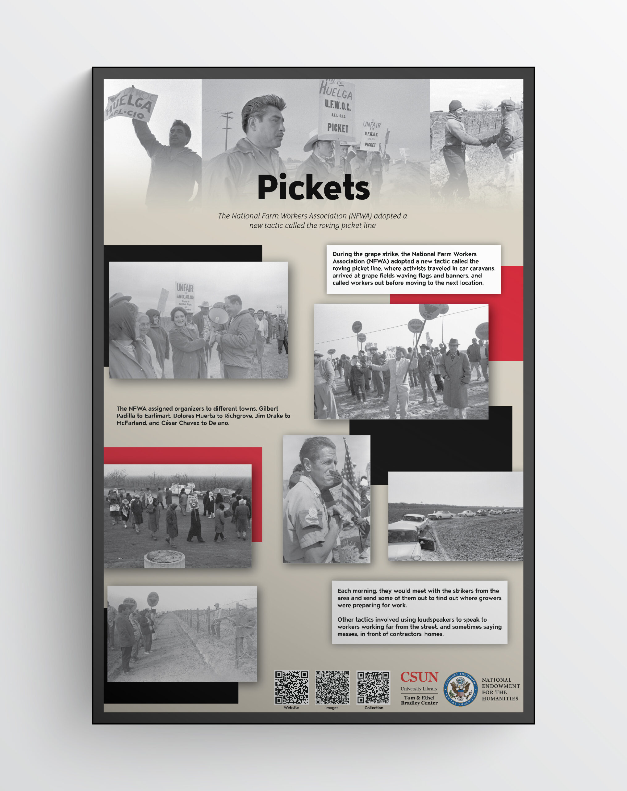 Panel of Pickets.
